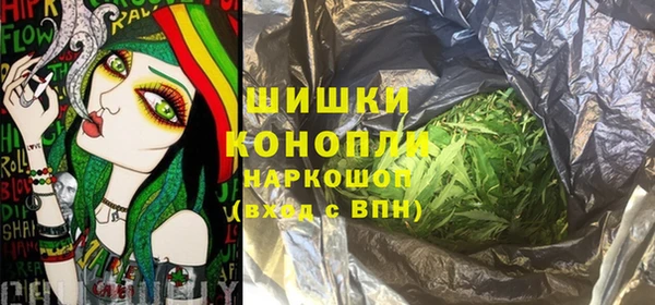 spice Вяземский