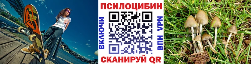 как найти наркотики  Карачев  Галлюциногенные грибы Psilocybine cubensis 